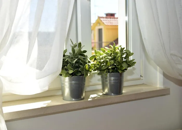 Old Town Apartment Makarska