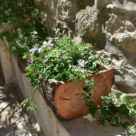 Old Town Apartman *