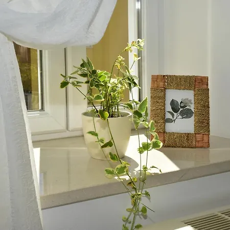 Apartman Old Town Makarska