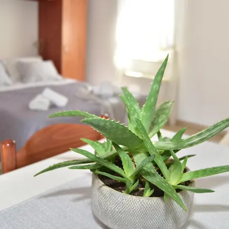 Old Town Apartment *